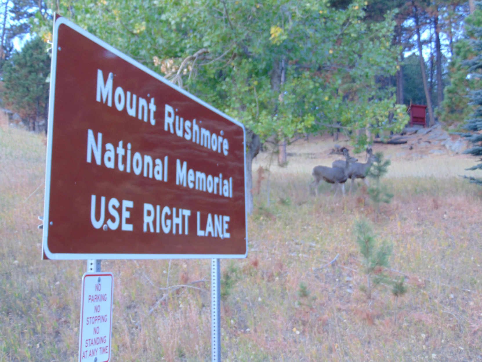Mount Rushmore